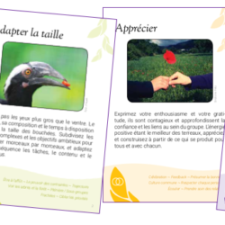 Atelier : les clés des dynamiques de groupe