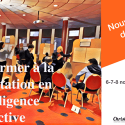 Formation Facilitation et Intelligence Collective 2019