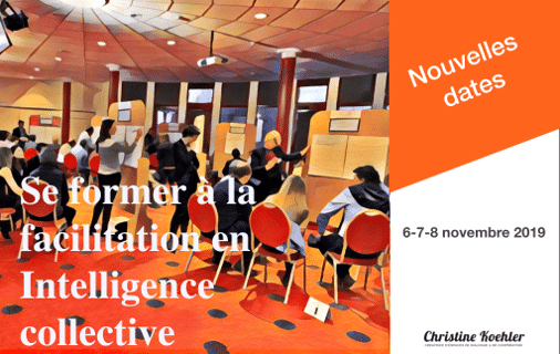 Faciliter en Intelligence Collective novembre 2019